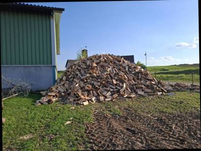Bild 3:Holzschneiden mit Schneidspalter