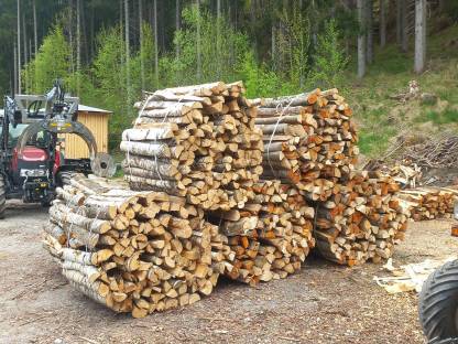 Holzbündel Laubholz