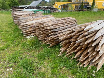 Bild 2:Lärchen-Stipfel