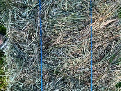 Bild 6:Heu, Kleinballen, Schwedenreiter, Hifel, Heuballen