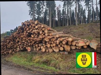 Bild 6:Holzernte und Vermarktung Waldhelfer Forstbetrieb Trummer