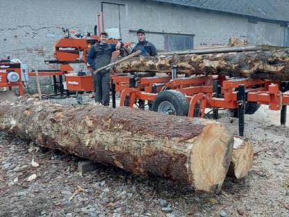 Bild 7:Zirbenholz aus den Seetaler Alpen