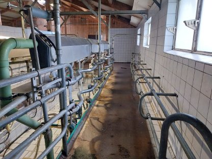 Bild 4:Westfalia Melkstand 2x6 Fischgräten