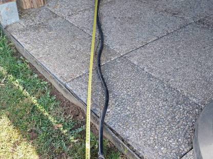 Bild 4:Kettenzug el. 500 kg mit Schienen