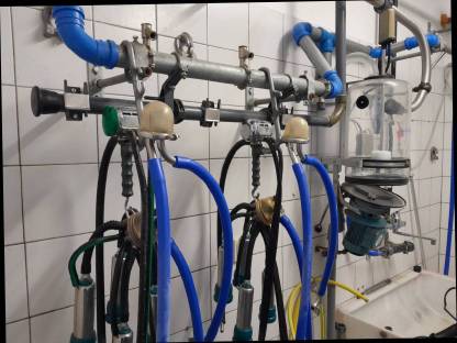 Bild 2:Rohrmelkanlage