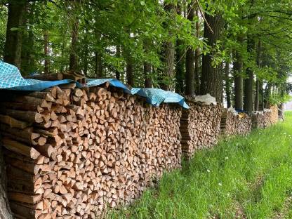 Brennholz
