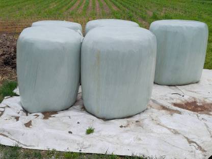 Siloballen