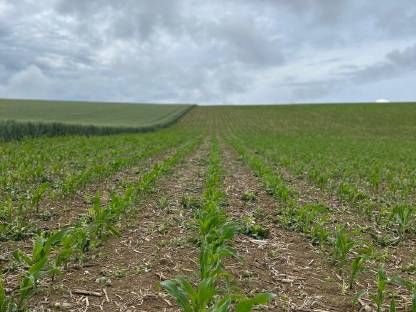 Bild 2:Suche Pachtflächen