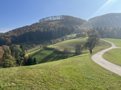 Wiese und Weide 10 ha zu vergeben