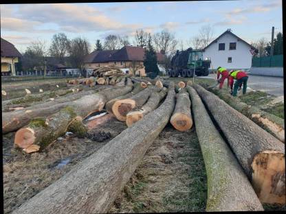 Bild 3:Holzernte und Vermarktung Waldhelfer Forstbetrieb Trummer