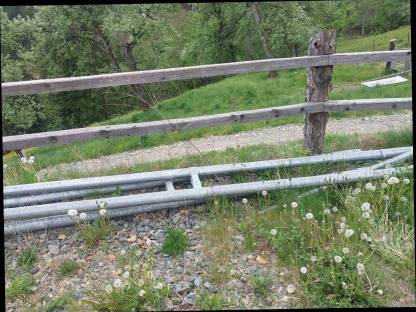 Bild 2:Nackenrohr Fressgitter