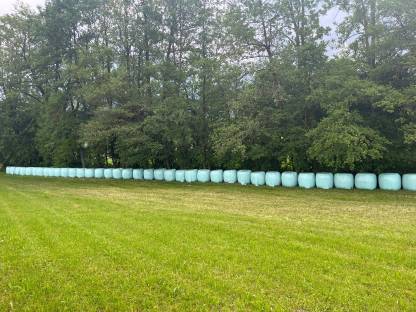 Silageballen