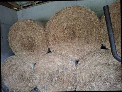 Stroh Rundballen