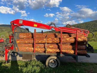 Bild 6:Hiab Forstkran