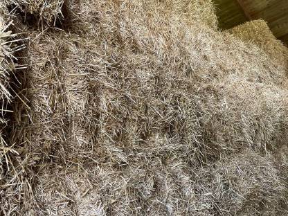 Bild 2:Heu 1. Schnitt, Altheu, Quaderballen