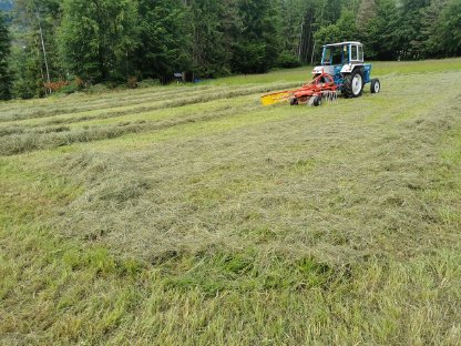 Wiesenheu unkrautfrei u. ungedüngt