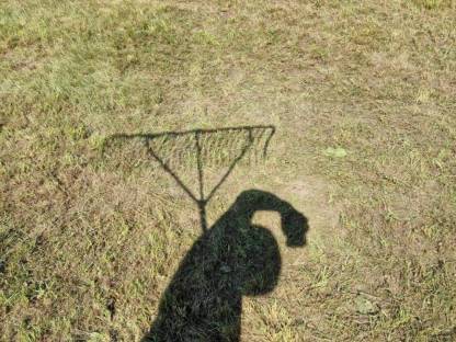 Bild 3:Tiroler Bio-Gärheuballen, hohe Artenvielfalt, ampferfrei