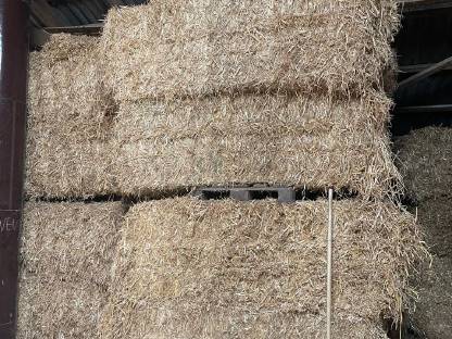 Stroh und Quaderballen