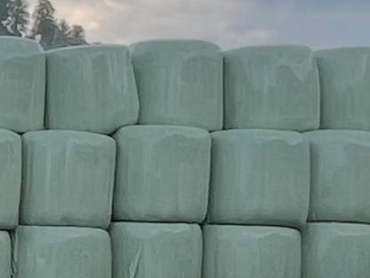 Silageballen