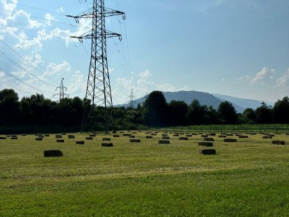 Stall Verpachtung
