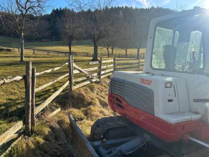 Takeuchi TB 250