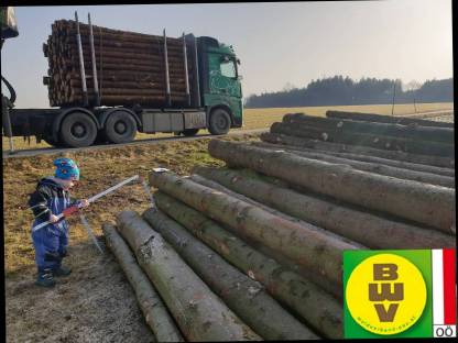Bild 4:Holzernte und Vermarktung Waldhelfer Forstbetrieb Trummer
