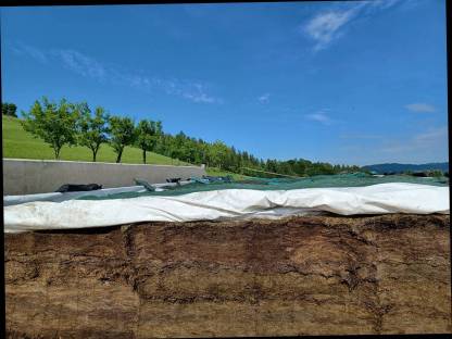 Grassilage