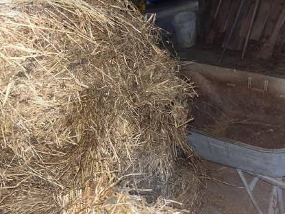 Silageballen