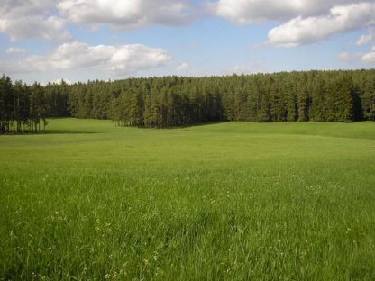 50 ha Bio-Wiesen