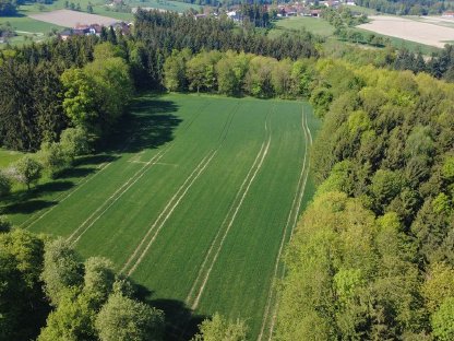 Bild 2:Acker mit 1,4 ha zu verkaufen