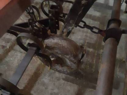 Bild 7:Saatbeetkombination, Federzahnegge, Grubber