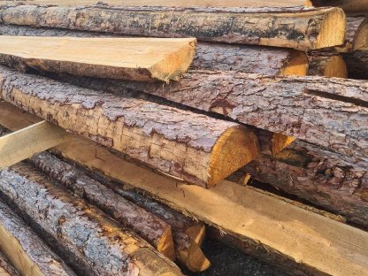 Bild 3:Lärchenstempel