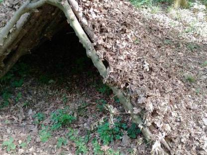 Survival-Kurse Basic