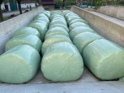 Bild 2:Siloballen 1. Schnitt 2025