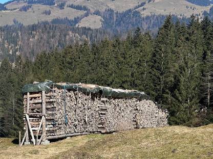 Brennholz