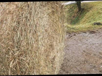 Bild 4:Heu