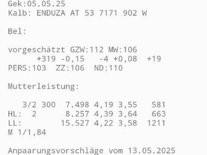HF Bio Kühe