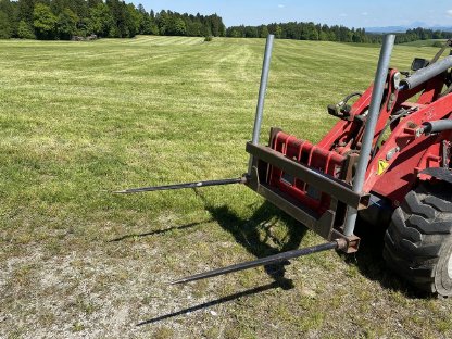 Ballenspieß Weidemann Aufnahme