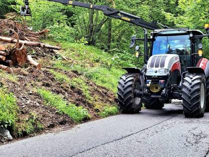 Bild 6:Holztransport mit Traktor und Rückewagen, Steyr Kompakt
