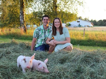 Praktikumsplatz Landwirtschaft Schweinebtriebe ab sofort frei
