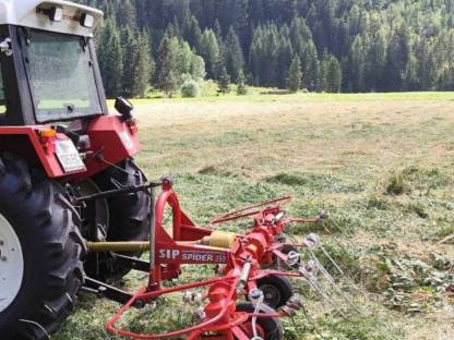 SIP Kreisler 350
