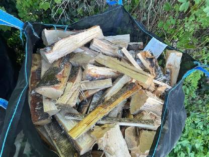 Birkenholz Brennholz