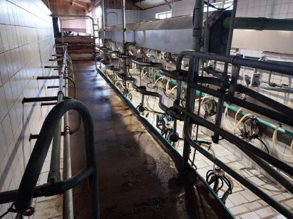 Bild 5:Westfalia Melkstand 2x6 Fischgräten