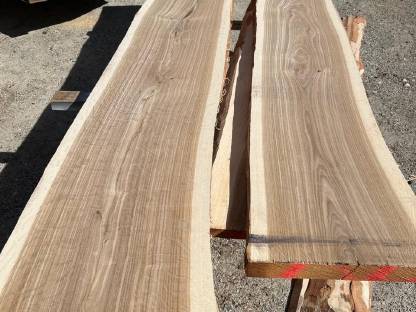 Bild 4:Eichenpfosten