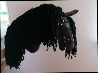 Bild 2:Steckenpferd/Hobby Horse