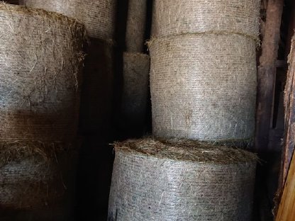 Heu, Heuballen, Rundballen 1. Schnitt 2024 zu verkaufen