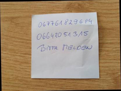 Bild 3:Hochlandrinder