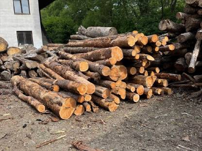 Zirben Faserholz Brennholz Zirbe