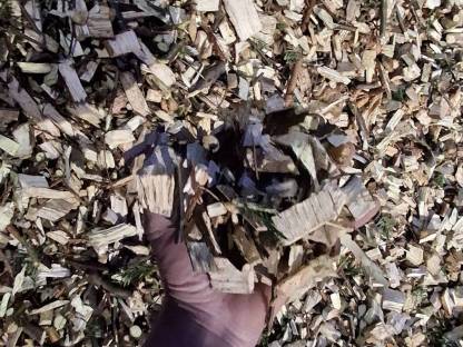 Bild 5:Hackguterzeugung - Handel und Transport