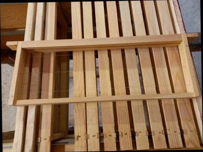 Bild 3:Zander Flachzarge Dr. Liebig